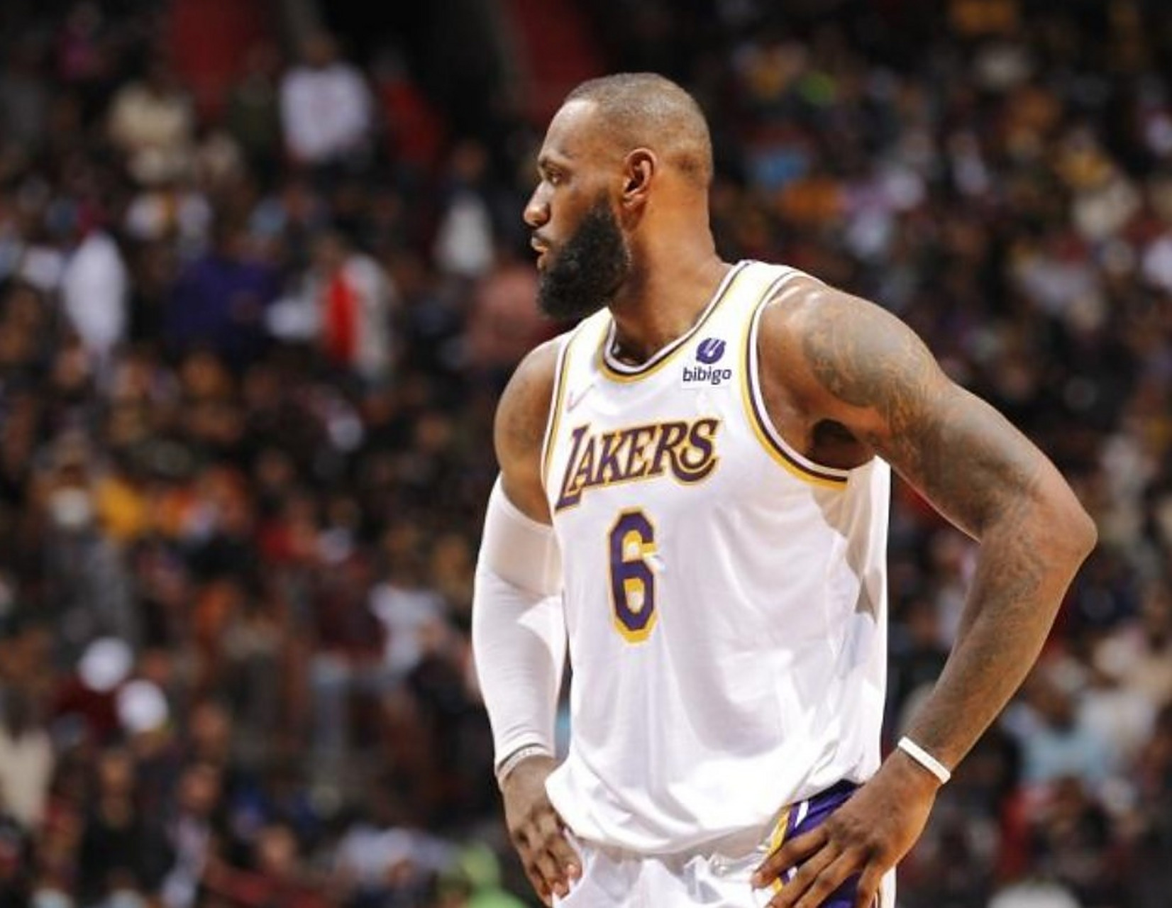 爱游戏网页包含里程碑夜浙江稠州造点机会，NBA常规赛国际比赛日刷纪录，话题不断，训练强度明显提升的词条